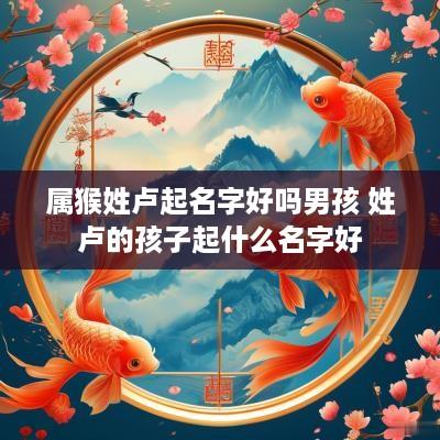 属猴姓卢起名字好吗男孩 姓卢的孩子起什么名字好