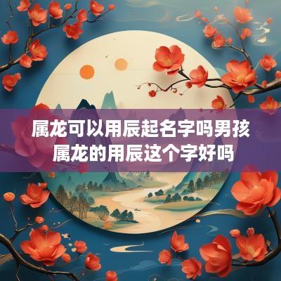 属龙可以用辰起名字吗男孩 属龙的用辰这个字好吗
