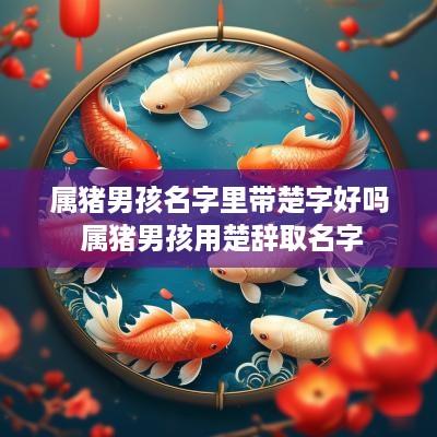 属猪男孩名字里带楚字好吗 属猪男孩用楚辞取名字