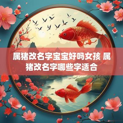 属猪改名字宝宝好吗女孩 属猪改名字哪些字适合