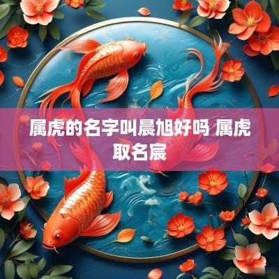 属虎的名字叫晨旭好吗 属虎取名宸