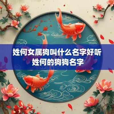 姓何女属狗叫什么名字好听 姓何的狗狗名字