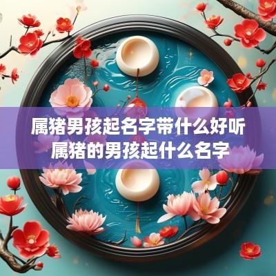 属猪男孩起名字带什么好听 属猪的男孩起什么名字