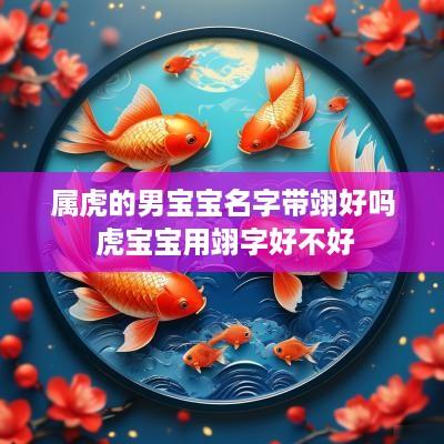 属虎的男宝宝名字带翊好吗 虎宝宝用翊字好不好