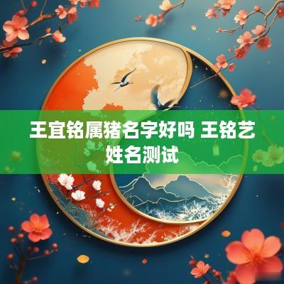 王宜铭属猪名字好吗 王铭艺姓名测试