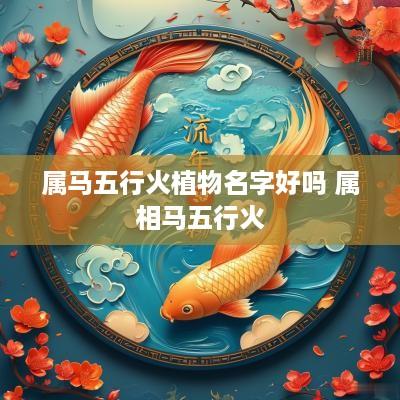 属马五行火植物名字好吗 属相马五行火