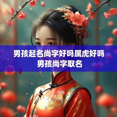 男孩起名尚字好吗属虎好吗 男孩尚字取名