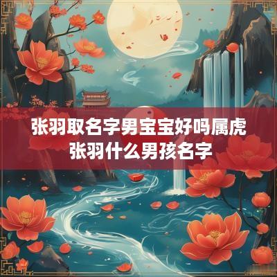 张羽取名字男宝宝好吗属虎 张羽什么男孩名字
