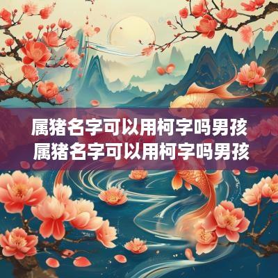 属猪名字可以用柯字吗男孩 属猪名字可以用柯字吗男孩子