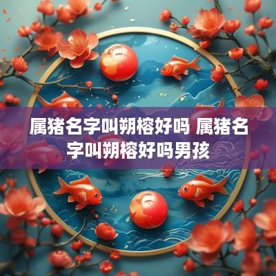 属猪名字叫朔榕好吗 属猪名字叫朔榕好吗男孩