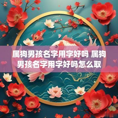 属狗男孩名字用字好吗 属狗男孩名字用字好吗怎么取