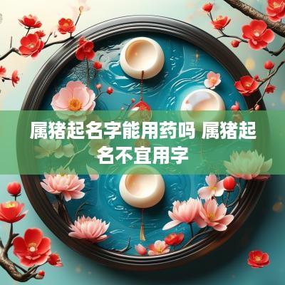 属猪起名字能用药吗 属猪起名不宜用字