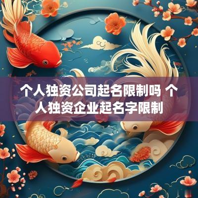 个人独资公司起名限制吗 个人独资企业起名字限制