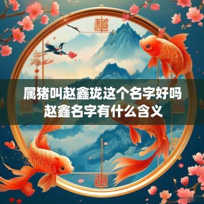 属猪叫赵鑫珑这个名字好吗 赵鑫名字有什么含义