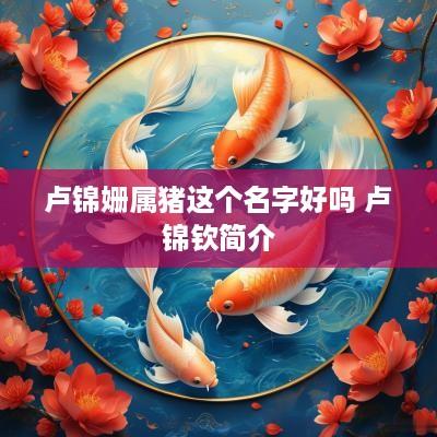 卢锦姗属猪这个名字好吗 卢锦钦简介
