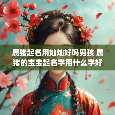 属猪起名用灿灿好吗男孩 属猪的宝宝起名字用什么字好?