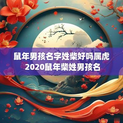 蛇年男孩名字姓柴好吗属虎 2025蛇年柴姓男孩名