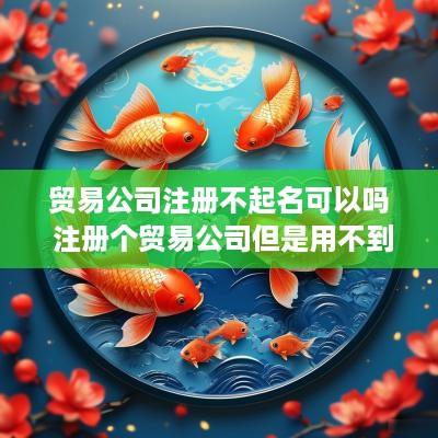 贸易公司注册不起名可以吗 注册个贸易公司但是用不到怎么办