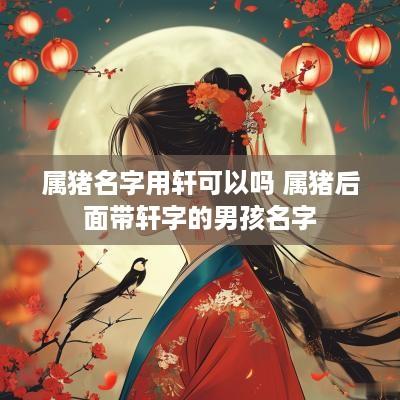 属猪名字用轩可以吗 属猪后面带轩字的男孩名字