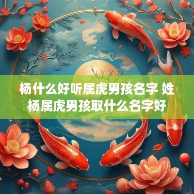 杨什么好听属虎男孩名字 姓杨属虎男孩取什么名字好