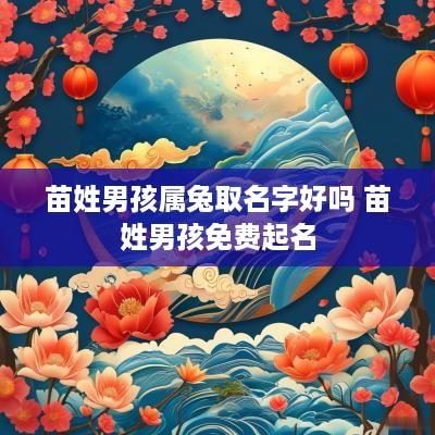 苗姓男孩属兔取名字好吗 苗姓男孩免费起名