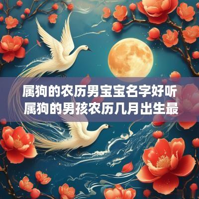 属狗的农历男宝宝名字好听 属狗的男孩农历几月出生最好