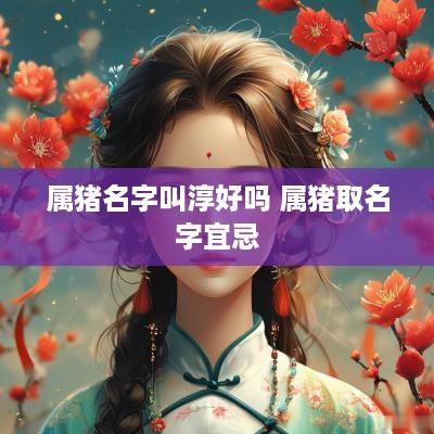 属猪名字叫淳好吗 属猪取名字宜忌