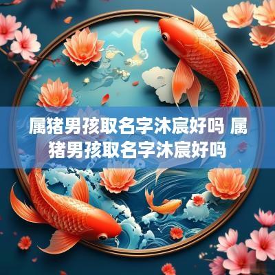 属猪男孩取名字沐宸好吗 属猪男孩取名字沐宸好吗