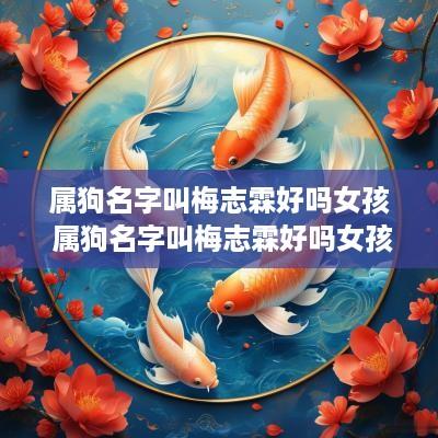 属狗名字叫梅志霖好吗女孩 属狗名字叫梅志霖好吗女孩子