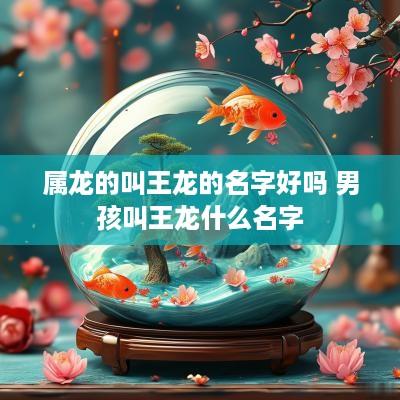 属龙的叫王龙的名字好吗 男孩叫王龙什么名字