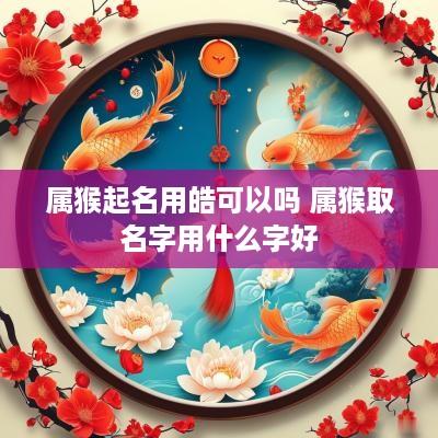 属猴起名用皓可以吗 属猴取名字用什么字好