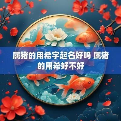 属猪的用希字起名好吗 属猪的用希好不好
