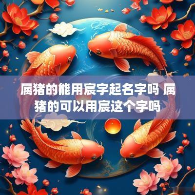 属猪的能用宸字起名字吗 属猪的可以用宸这个字吗