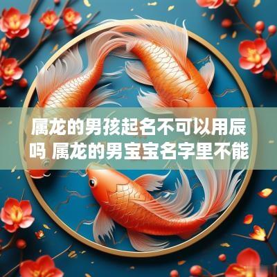 属龙的男孩起名不可以用辰吗 属龙的男宝宝名字里不能出现什么字