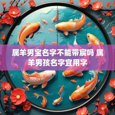 属羊男宝名字不能带宸吗 属羊男孩名字宜用字