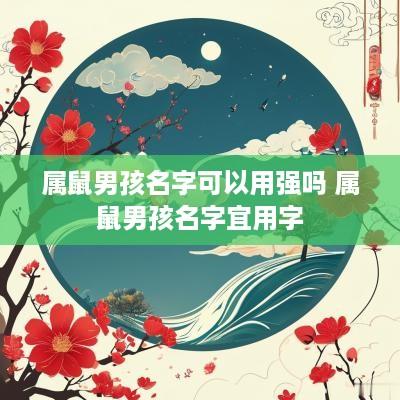 属鼠男孩名字可以用强吗 属鼠男孩名字宜用字