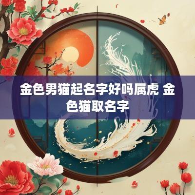 金色男猫起名字好吗属虎 金色猫取名字