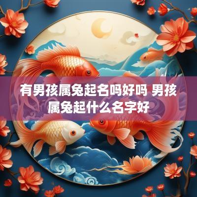 有男孩属兔起名吗好吗 男孩属兔起什么名字好