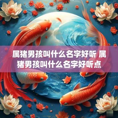 属猪男孩叫什么名字好听 属猪男孩叫什么名字好听点
