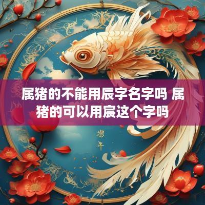 属猪的不能用辰字名字吗 属猪的可以用宸这个字吗