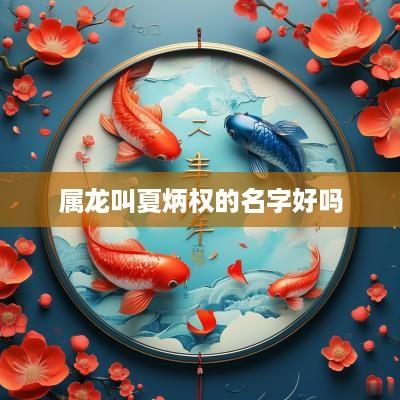 属龙叫夏炳权的名字好吗
