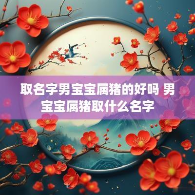 取名字男宝宝属猪的好吗 男宝宝属猪取什么名字