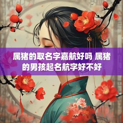 属猪的取名字嘉航好吗 属猪的男孩起名航字好不好