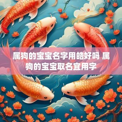 属狗的宝宝名字用皓好吗 属狗的宝宝取名宜用字
