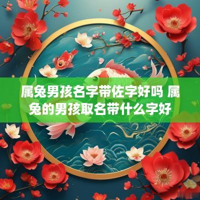 属兔男孩名字带佐字好吗 属兔的男孩取名带什么字好