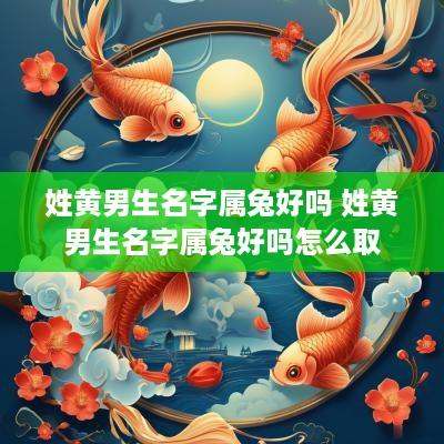 姓黄男生名字属兔好吗 姓黄男生名字属兔好吗怎么取