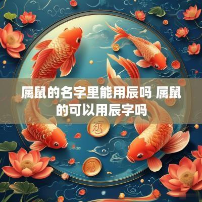 属鼠的名字里能用辰吗 属鼠的可以用辰字吗