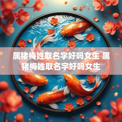 属猪梅姓取名字好吗女生 属猪梅姓取名字好吗女生