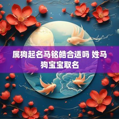 属狗起名马铭皓合适吗 姓马狗宝宝取名