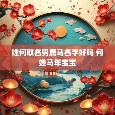姓何取名男属马名字好吗 何姓马年宝宝